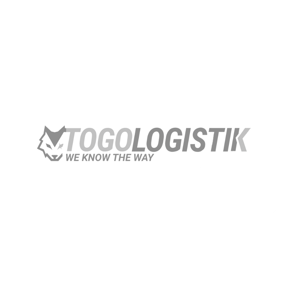 Logo togo grey